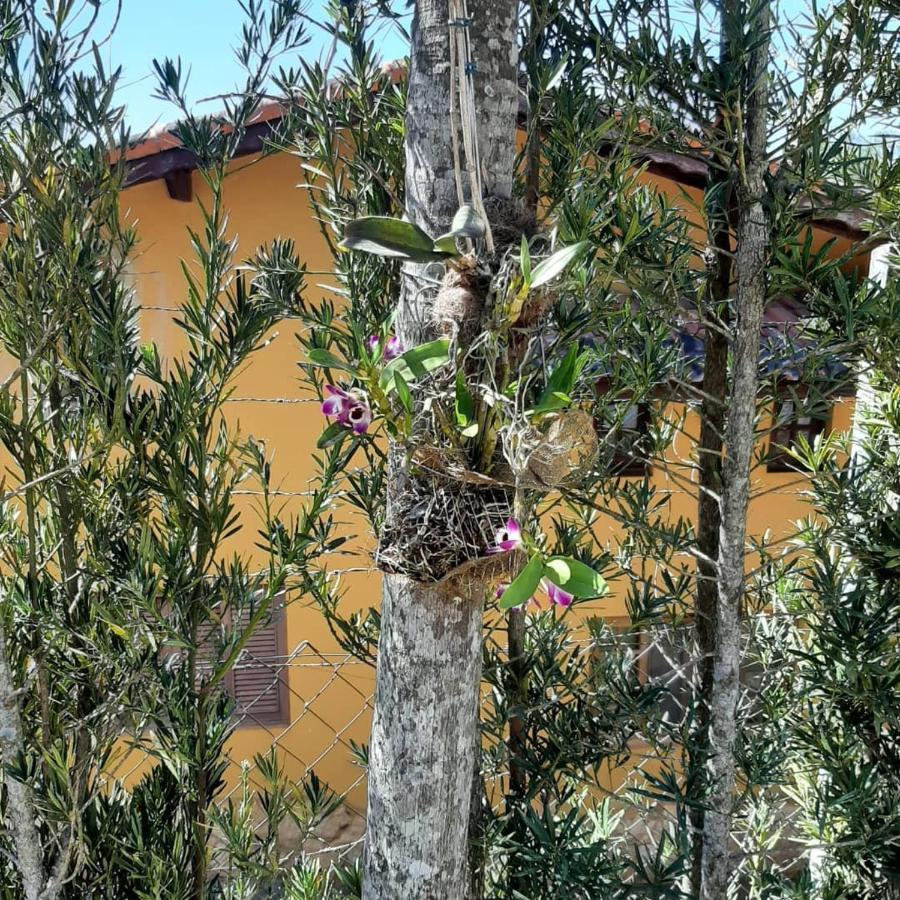 Chacara Em Atibaia Villa Exterior photo